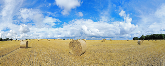 Der Niederrhein: Sommer – Panoramablick 180 Grad. Strohballen nach der Getreideernte. Panoramagröße: 141x56 cm / 300dpi