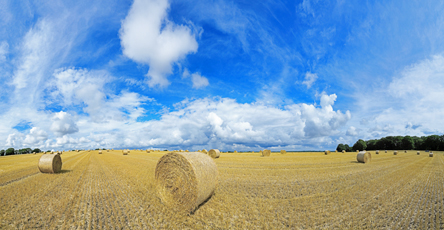 Der Niederrhein: Sommer – Panoramablick 180 Grad. Strohballen nach der Getreideernte. Panoramagröße: 112x58 cm / 300dpi