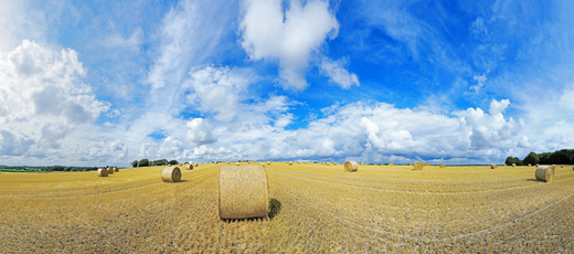 Der Niederrhein: Sommer – Panoramablick 180 Grad. Strohballen nach der Getreideernte. Panoramagröße: 130x57 cm / 300dpi