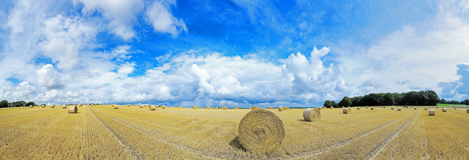 Der Niederrhein:Frühling – Panoramablick 180 Grad. Strohballen nach der Getreideernte.. Panoramagröße: 168x57 cm / 300dpi