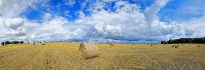 Der Niederrhein:Sommer – Panoramablick 180 Grad. Strohballen nach der Getreideernte. Panoramagröße: 163x56 cm / 300dpi