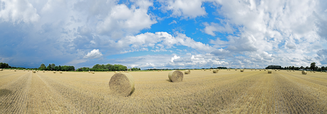 Der Niederrhein:Frühling – Panoramablick 180 Grad. Strohballen nach der Getreideernte. Panoramagröße: 160x55 cm / 300dpi