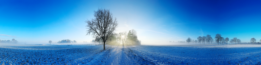 Der Niederrhein: Winter – Panoramablick 180 Grad. Winterlandschaft bei Kempen. Panoramagröße: 215x44 cm / 300dpi