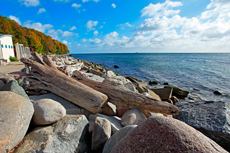 Kreidefelsen Rügen - der Hochuferweg. Die kleine Reise beginnt in Sassnitz über die Strandwegvariante bis zum letztmöglichen Strandaufstieg am Kieler Ufer.