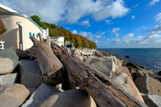 Kreidefelsen Rügen - der Hochuferweg. Die kleine Reise beginnt in Sassnitz über die Strandwegvariante bis zum letztmöglichen Strandaufstieg am Kieler Ufer.