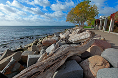 Kreidefelsen Rügen - der Hochuferweg. Die kleine Reise beginnt in Sassnitz über die Strandwegvariante bis zum letztmöglichen Strandaufstieg am Kieler Ufer.