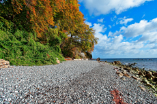 Kreidefelsen Rügen - der Hochuferweg. Die kleine Reise beginnt in Sassnitz über die Strandwegvariante bis zum letztmöglichen Strandaufstieg am Kieler Ufer.