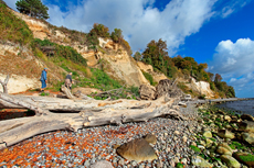 Kreidefelsen Rügen - der Hochuferweg. Die kleine Reise beginnt in Sassnitz über die Strandwegvariante bis zum letztmöglichen Strandaufstieg am Kieler Ufer.