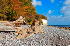 Kreidefelsen Rügen - der Hochuferweg. Die kleine Reise beginnt in Sassnitz über die Strandwegvariante bis zum letztmöglichen Strandaufstieg am Kieler Ufer.