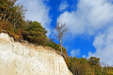 Kreidefelsen Rügen - der Hochuferweg. Die kleine Reise beginnt in Sassnitz über die Strandwegvariante bis zum letztmöglichen Strandaufstieg am Kieler Ufer.