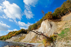 Kreidefelsen Rügen - der Hochuferweg. Die kleine Reise beginnt in Sassnitz über die Strandwegvariante bis zum letztmöglichen Strandaufstieg am Kieler Ufer.