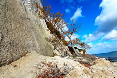 Kreidefelsen Rügen - der Hochuferweg. Die kleine Reise beginnt in Sassnitz über die Strandwegvariante bis zum letztmöglichen Strandaufstieg am Kieler Ufer.