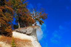 Kreidefelsen Rügen - der Hochuferweg. Die kleine Reise beginnt in Sassnitz über die Strandwegvariante bis zum letztmöglichen Strandaufstieg am Kieler Ufer.