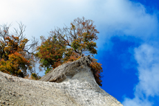 Kreidefelsen Rügen - der Hochuferweg. Die kleine Reise beginnt in Sassnitz über die Strandwegvariante bis zum letztmöglichen Strandaufstieg am Kieler Ufer.