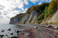 Kreidefelsen Rügen - der Hochuferweg. Die kleine Reise beginnt in Sassnitz über die Strandwegvariante bis zum letztmöglichen Strandaufstieg am Kieler Ufer.