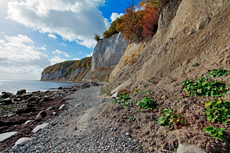 Kreidefelsen Rügen - der Hochuferweg. Die kleine Reise beginnt in Sassnitz über die Strandwegvariante bis zum letztmöglichen Strandaufstieg am Kieler Ufer.