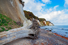 Kreidefelsen Rügen - der Hochuferweg. Die kleine Reise beginnt in Sassnitz über die Strandwegvariante bis zum letztmöglichen Strandaufstieg am Kieler Ufer.