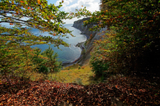 Kreidefelsen Rügen - der Hochuferweg. Hier geht es über den Hochuferweg weiter durch die Buchenwälder auf der kleinen Stubbenkammer mit der Victoria-Sicht bis zum Königsstuhl.