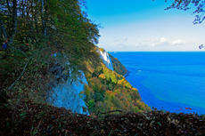 Kreidefelsen Rügen - der Hochuferweg. Hier geht es über den Hochuferweg weiter durch die Buchenwälder auf der kleinen Stubbenkammer mit der Victoria-Sicht bis zum Königsstuhl.