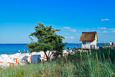 Scharbeutz - Im Süden der Lübecker Bucht, in direkter Nachbarschaft zum Timmendorfer Strand, liegt das mit seiner langen Strandpromenade und kilometerlangen, feinsandigen Themenstränden, Scharbeutz.