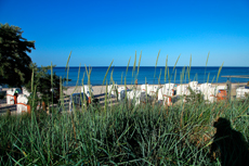 Scharbeutz - Im Süden der Lübecker Bucht, in direkter Nachbarschaft zum Timmendorfer Strand, liegt das mit seiner langen Strandpromenade und kilometerlangen, feinsandigen Themenstränden, Scharbeutz.