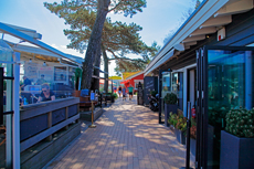 Scharbeutz - Im Süden der Lübecker Bucht, in direkter Nachbarschaft zum Timmendorfer Strand, liegt das mit seiner langen Strandpromenade und kilometerlangen, feinsandigen Themenstränden, Scharbeutz.