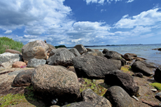 Scharbeutz - Sierksdorfer Stelküste. Die Sierksdorfer Steilküste ist absolut naturbelassen. Hier findet man große Findlinge und abgestürzte Bäume.