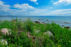 Scharbeutz - Sierksdorfer Stelküste. Die Sierksdorfer Steilküste ist absolut naturbelassen. Hier findet man große Findlinge und abgestürzte Bäume.