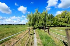 Der Niederrhein: Sommerzeit