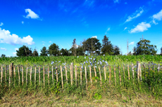 Der Niederrhein: Sommerzeit