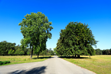 Der Niederrhein: Sommerzeit