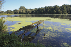 Der Niederrhein: Sommerzeit