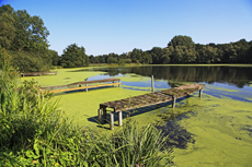 Der Niederrhein: Sommerzeit