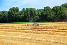 Der Niederrhein: Sommerzeit