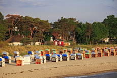 Timmendorfer Strand: Mondänes Seebad mit gemütlichen Charme. Endlos bunte Strandkorbreihen stehen am Strand.