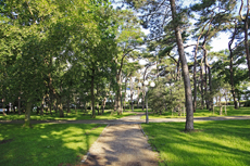 Timmendorfer Strand: Mondänes Seebad mit gemütlichen Charme. Der Stadtpark beeindruckt vor allem mit seinen mächtigen Kiefern.