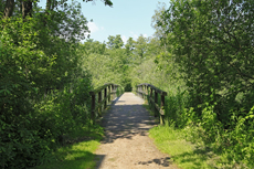 Timmendorfer Strand: Mondänes Seebad mit gemütlichen Charme. Einer der vielen schönen Wanderwege zwischen Timmendorfer Strand und den Hemmelsdorfer See