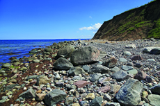 Timmendorfer Strand: Brodtener Steilufer. Immer wieder brechen Teile aus dem Brodtener Steilufer ab und legen Steine und kleine Felsen aus der Eiszeit frei.