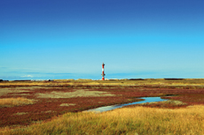 Wangerooge: Der Westen<br />Der weite Blick über Wasserkanäle und Salzwiesen auf den neuen Leuchtturm.