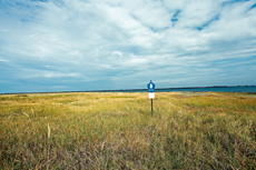 Wangerooge: Naturschutzgebiet Westaußengroden.