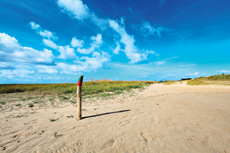 Wangerooge: Der Osten: der gesamte Ostaußengroden ist die strengste Schutzzone im Nationalpark Wattenmeer.