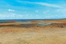 Wangerooge: Der Osten: bei Ebbe hat man einen unendlich weiten Blick auf das Wattenmeer.