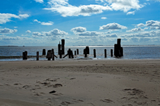 Wangerooge: Der Osten: alte Holzpfähle sind die letzten Zeugen von menschlichen Eingriffen an der Ostspitze.