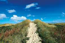 Wangerooge: Dünenlandschaften im Osten.