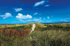 Wangerooge: Dünenlandschaften im Osten.