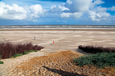 Wangerooge: Sanddünen-Landschaften in den Ostinnengroden.