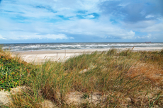 Wangerooge: Sanddünen-Landschaften in den Ostinnengroden.