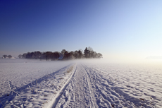 Der Niederrhein: Winterzauber