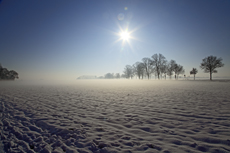 Der Niederrhein: Winterzauber