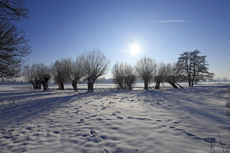 Der Niederrhein: Winterzauber